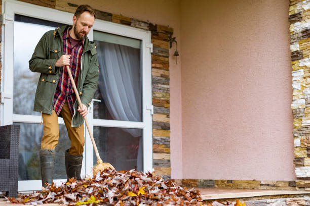 Debris Removal in Lavalette, WV